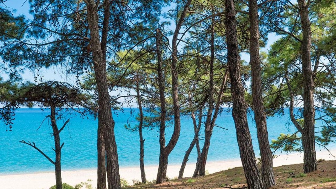 Blue Jasmine Hotel Skala  外观 照片